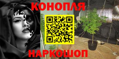 ALPHA PVP Бердск