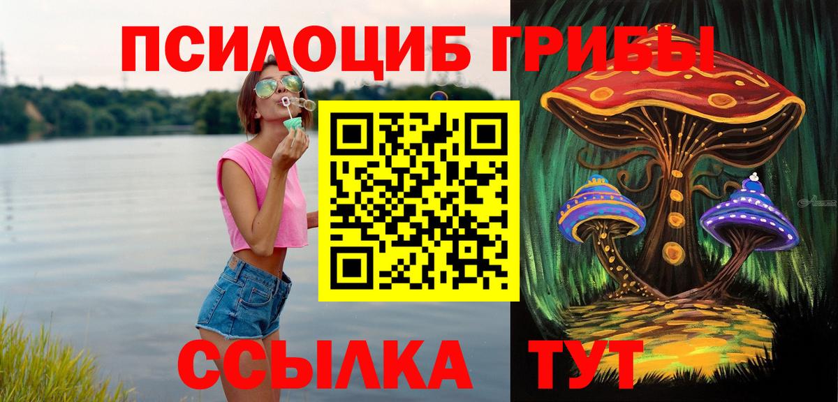 Галлюциногенные грибы MAGIC MUSHROOMS  Вход с VPN  магазин продажи   Аргун 