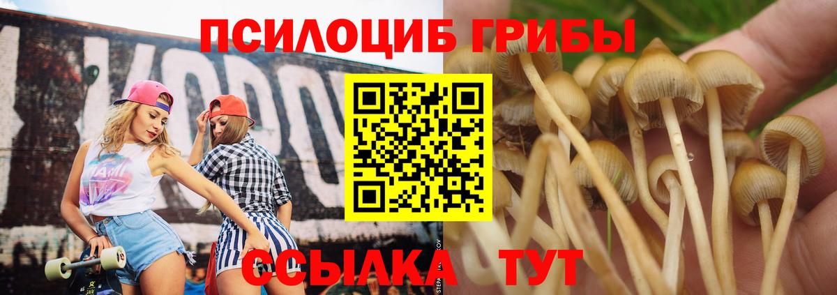 Галлюциногенные грибы Magic Shrooms Аргун